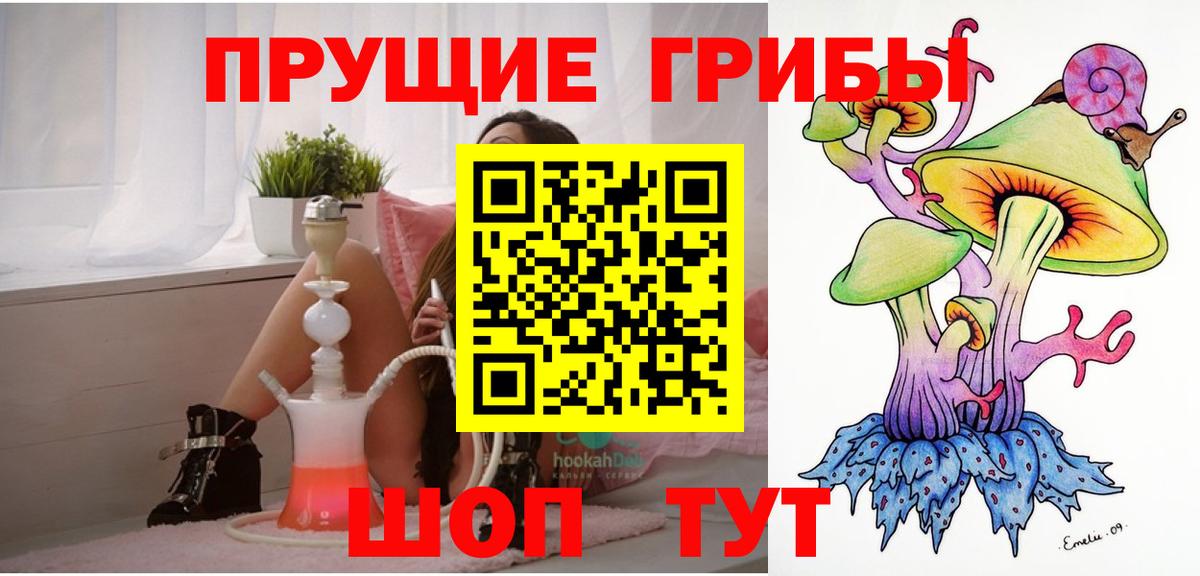 Верхняя Пышма  Псилоцибиновые грибы GOLDEN TEACHER  Вход с VPN 